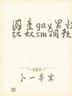 国产gay男性玩奴sm调教封面