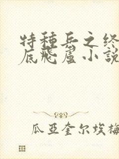 特种兵之终极卧底飞卢小说网封面