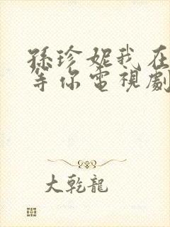 孙珍妮我在顶峰等你电视剧