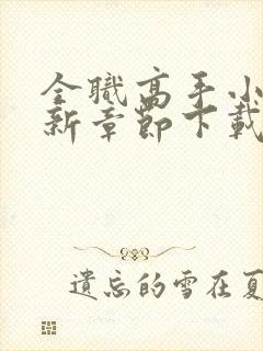 全职高手小说最新章节下载