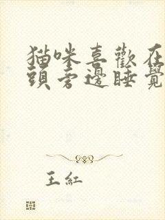 猫咪喜欢在主人头旁边睡觉