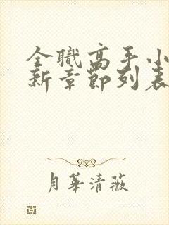 全职高手小说最新章节列表最