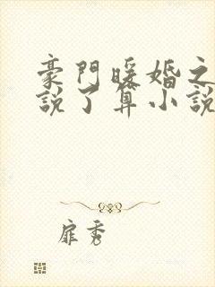 豪门暖婚之夫人说了算小说免费阅读