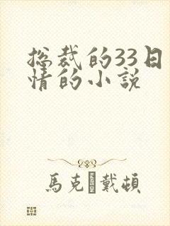 总裁的33日索情的小说