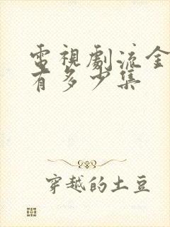 电视剧流金岁月有多少集封面