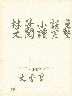 林萧小说免费全文阅读完整版
