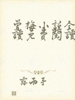 曾梅小说全文阅读免费阅读最新章节封面