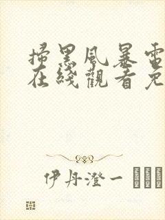 扫黑风暴电视剧在线观看免费观看