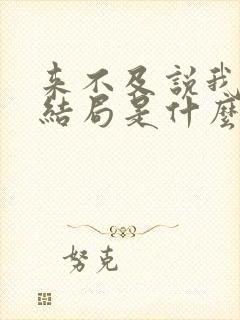 来不及说我爱你结局是什么