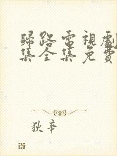 归路电视剧30集全集免费观看高清封面