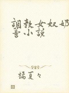 调教女奴奶头阴蒂小说封面