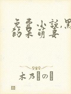 免费小说,黑帝的呆萌妻