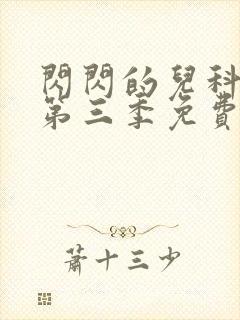 闪闪的儿科医生第三季免费观看完整版