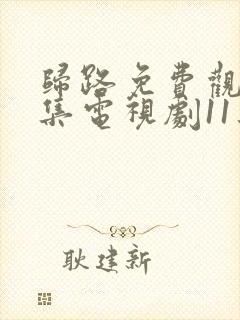 归路免费观看全集电视剧11集