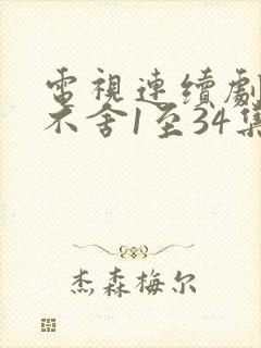 电视连续剧恋恋不舍1至34集