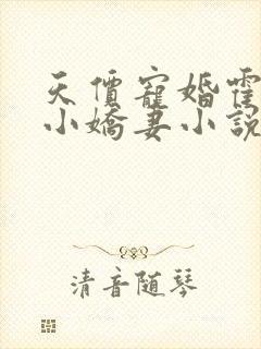 天价宠婚霍总的小娇妻小说全文免费阅读