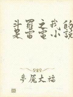 斗罗之我的武魂是雷电小说封面