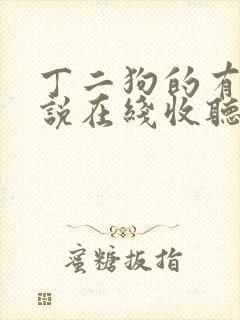 丁二狗的有声小说在线收听