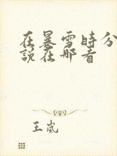 在暴雪时分的小说在哪看