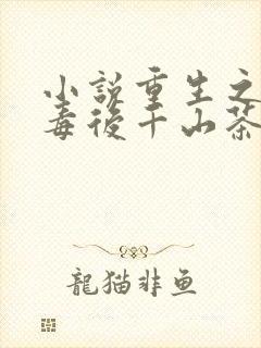 小说重生之将门毒后千山茶客外传