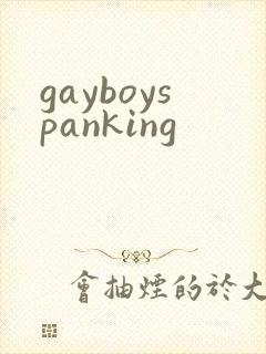 gayboyspanking封面