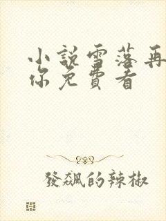 小说雪落再说爱你免费看