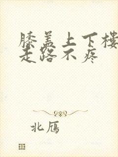 膝盖上下楼梯疼走路不疼