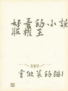 好看的小说第一版权主