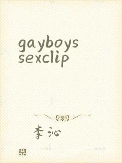 gayboyssexclip