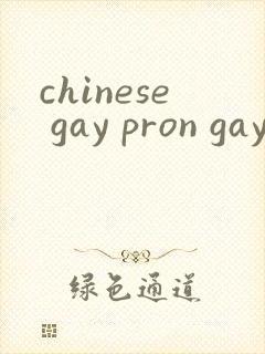 chinese gay pron gay封面