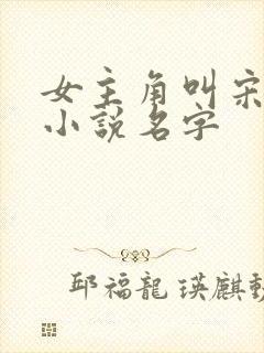 女主角叫宋婉的小说名字