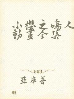 小樱之鸣人之夜动画全集