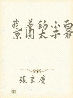 我养的小白脸是京圈太子爷全集封面