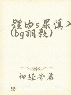 体内s尿慎入h(bg调教)
