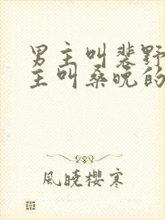 男主叫裴野,女主叫桑晚的短剧