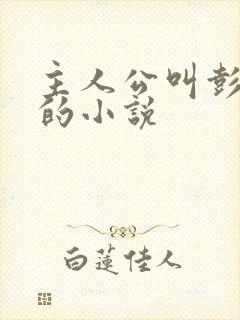 主人公叫彭怀远的小说