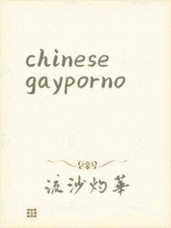 chinesegayporno