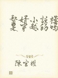 赘婿小说楼舒婉是穿越的吗