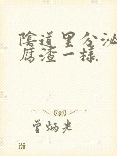 阴道里分泌物豆腐渣一样