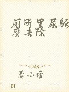 厕所里尿骚味怎么去除