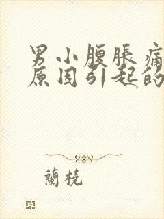 男小腹胀痛什么原因引起的