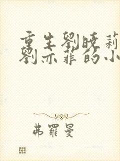 重生刘晓莉收了刘亦菲的小说封面