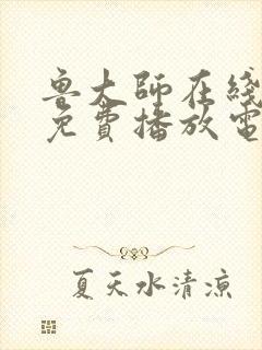 鲁大师在线高清免费播放电视封面