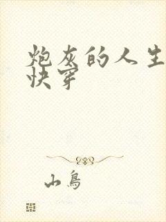 炮灰的人生2 快穿