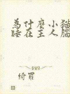 为什么小猫喜欢睡在主人脑袋边封面