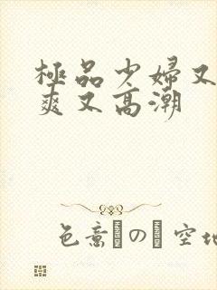 极品少妇又色又爽又高潮