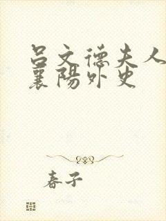 吕文德夫人黄蓉襄阳外史封面