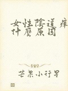 女性阴道痒疼是什么原因封面