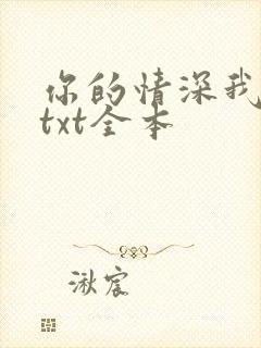 你的情深我不配txt全本