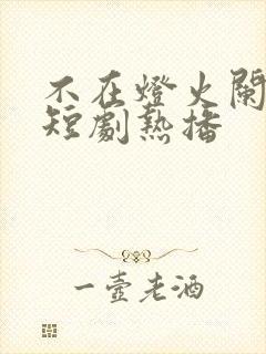 不在灯火阑珊处短剧热播